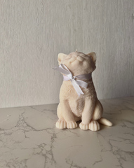 Cream Kitten