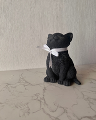 Black Kitten
