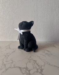 Black Kitten