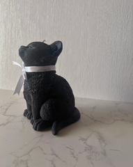 Black Kitten
