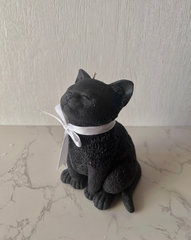 Black Kitten