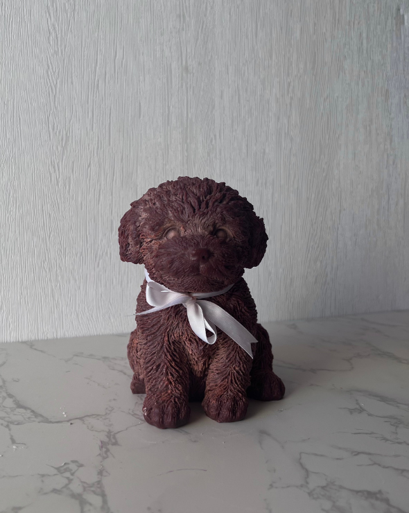 Brown Puppy