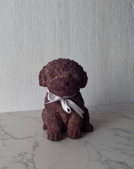 Brown Puppy