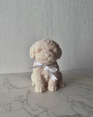 Cream Puppy