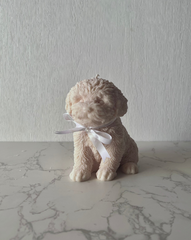 Cream Puppy